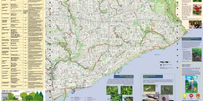 Carte parcs et sentiers pédestres Est Toronto